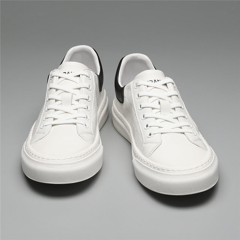 Giày - Kẻ Caro - Nam - H050400