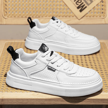 Giày - Mùa Xuân - Nam - H050911