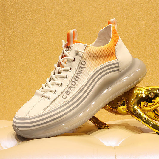 Giày - Mùa Xuân - Nam - H050427